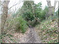 Studland : South West Coastal Path