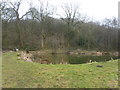 Fishing pond behind Storth House