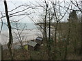 Purbeck : Trees & Coastline