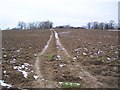 Footpath to New Barn Farm