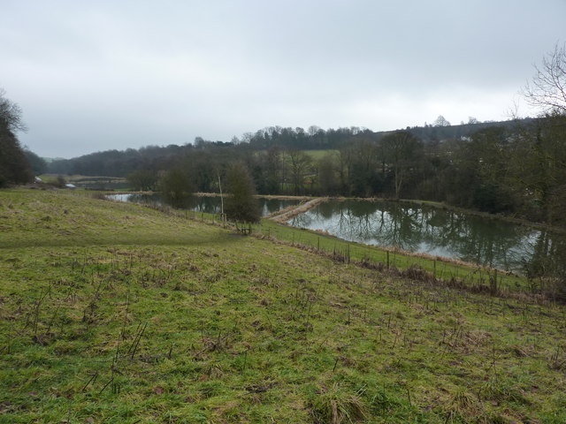 Fishing ponds at Barlow Common Side