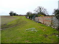 Footpath by a garden wall