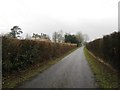 Lane from Hill House descending towards Slinfold