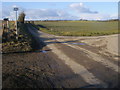 Lane to Crowmarsh Gifford