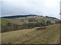 Hillside track on Aston Hill