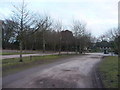 Studland : Middle Beach Car Park