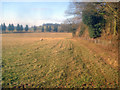 Sheep pasture near Grovehouse Coppice