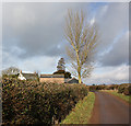 Winter hedgerows