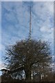 Telecommunications Mast, Edenbridge Station