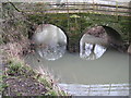 Bridge over the River Arun