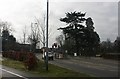 Traffic lights at the northern end of the High St