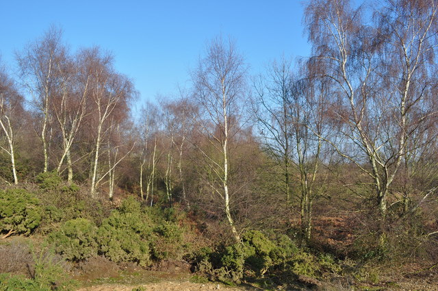 Overgrown Gravel Pit © Ashley Dace cc-by-sa/2.0 :: Geograph Britain and ...