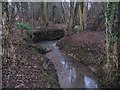 Tributary of the River Arun near Lane End Farm