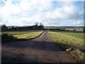 Driveway to the farm