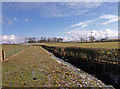 Fence, Hedge and Ditch