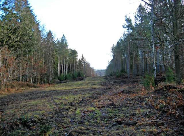 Postensplain, Wyre Forest © P L Chadwick cc-by-sa/2.0 :: Geograph ...