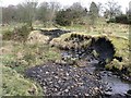 Craigdouffie Burn (W) outcrop revealed