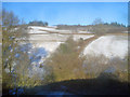 Farmland south of Grove Farm