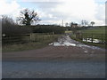 Footpath across the drive