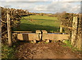 Twin drinking troughs near Fitzhead