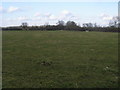 Footpath to Steeple Claydon