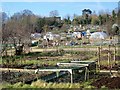 Allotments, Bishopdown