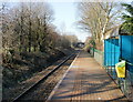 Looking west along the platform at Birchgrove railway station