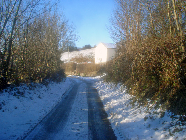 Lane at Upper Hergest
