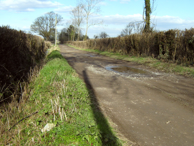Farm track, Westonzoyland