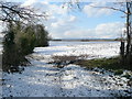 Snow-covered pasture near Kingstone Court 1