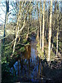 River Skell from North Bridge