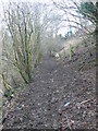 Muddy path to Felin Uchaf