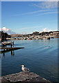 Conwy Harbour and Seagull