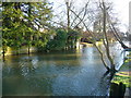 Salisbury - River Avon