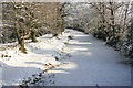 A frozen Basingstoke Canal, Brookwood