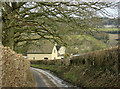 2010 : Lane from Colerne