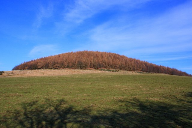 Whorl Hill