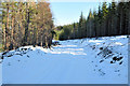 NH6572 : Snowy forestry road near Cnoc Navie by Steven Brown