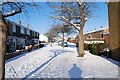 SU5803 : Bridgemary under snow - Montgomery Road (3) by Barry Shimmon