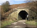 Tunnel under the railway embankment