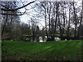 Pond beside Dumpford Lane