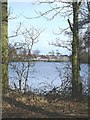 Beaver Pool, Water Orton