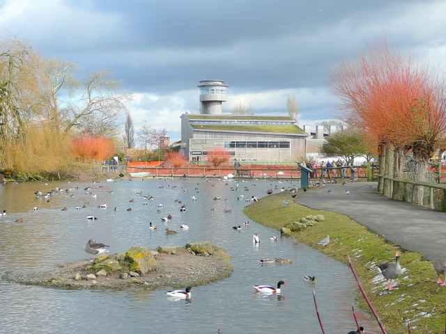 Wildfowl And Wetlands Trust, Slimbridge © Jonathan Billinger Cc-by-sa/2 ...