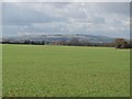 Worcestershire farmland