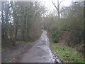 Byway to Bourne Wood