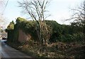 Overgrown farm building, Orchard Farm