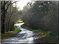 Bend in lane from Elsted Marsh to Treyford