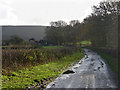 Lane from Elsted Marsh to Treyford