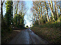 Lane in centre of Treyford