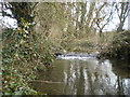 SJ7202 : Tiny weir on the Mad Brook by Richard Law
